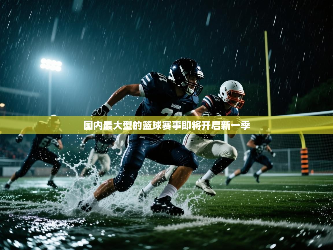 国内最大型的篮球赛事即将开启新一季