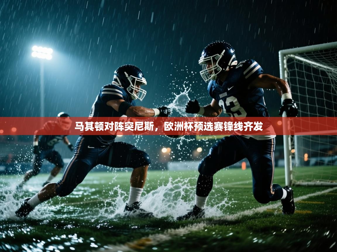 马其顿对阵突尼斯，欧洲杯预选赛锋线齐发  第2张