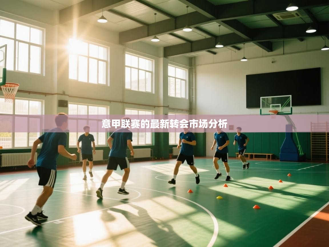 意甲联赛的最新转会市场分析 第2张