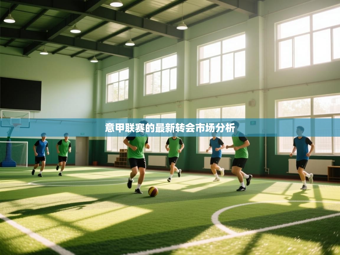 意甲联赛的最新转会市场分析 第1张