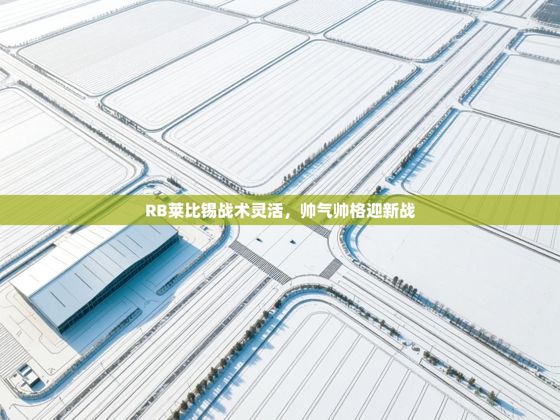 RB莱比锡战术灵活，帅气帅格迎新战  第1张