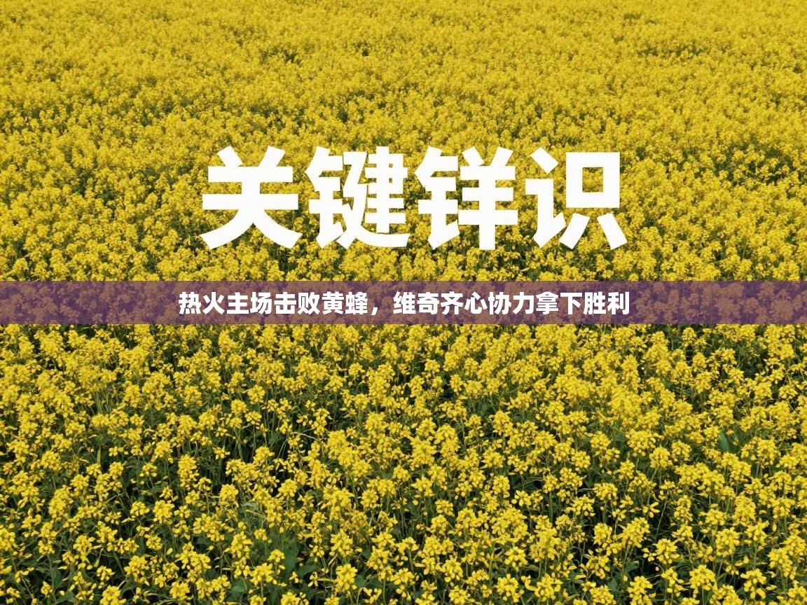 热火主场击败黄蜂，维奇齐心协力拿下胜利  第1张