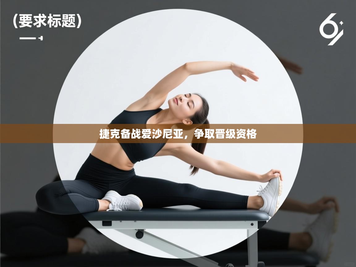 捷克备战爱沙尼亚，争取晋级资格  第1张