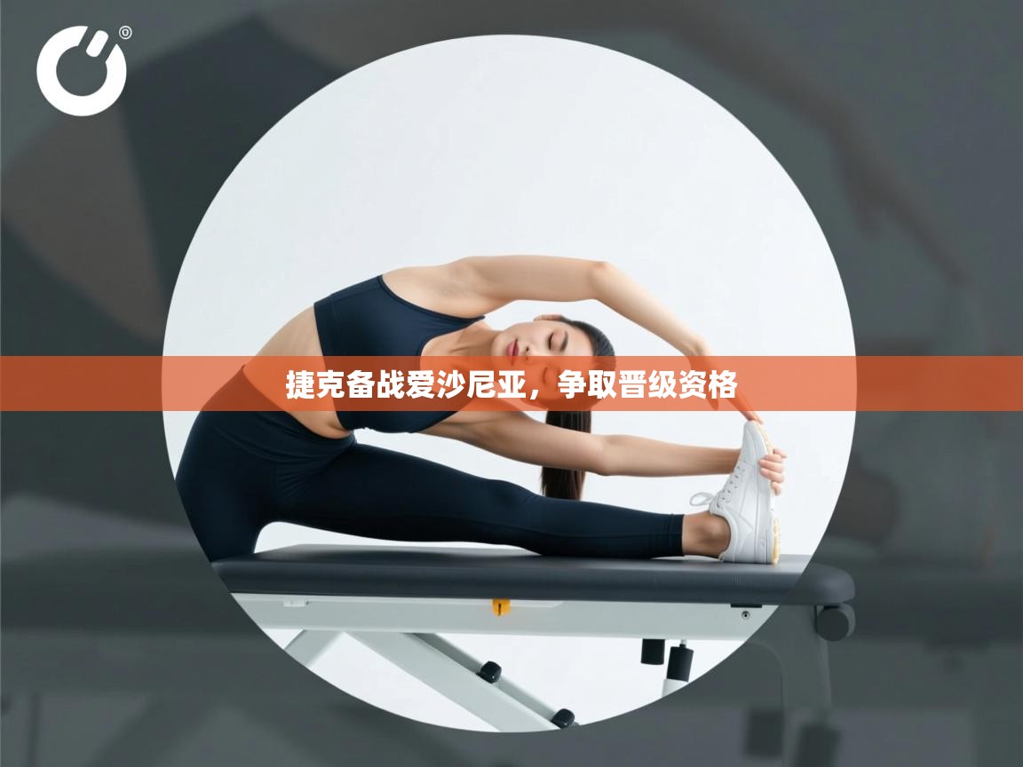 捷克备战爱沙尼亚，争取晋级资格  第2张